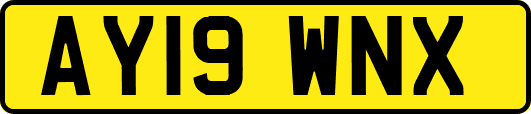 AY19WNX