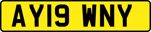 AY19WNY