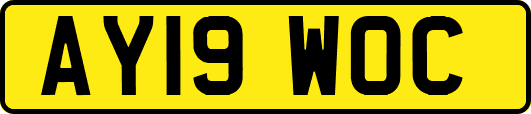 AY19WOC