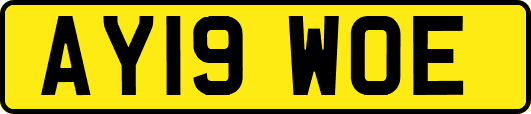 AY19WOE