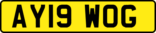 AY19WOG