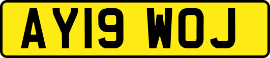 AY19WOJ