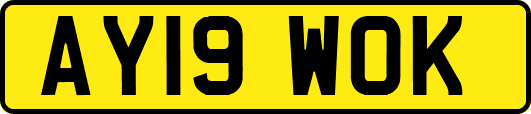 AY19WOK