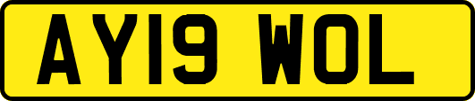 AY19WOL