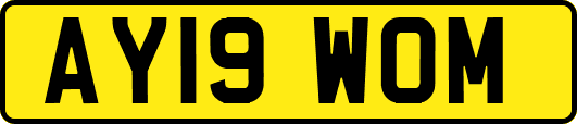 AY19WOM