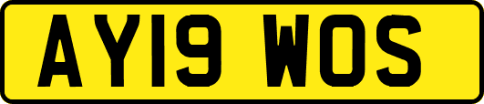 AY19WOS