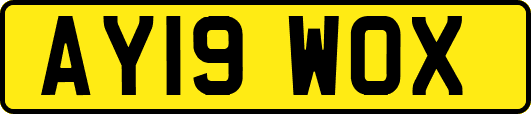 AY19WOX