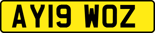 AY19WOZ