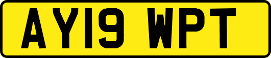 AY19WPT