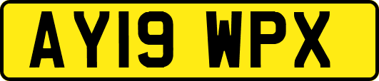AY19WPX