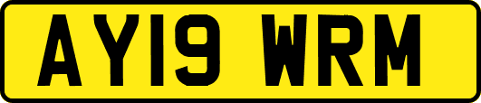 AY19WRM
