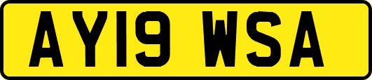 AY19WSA