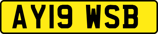 AY19WSB