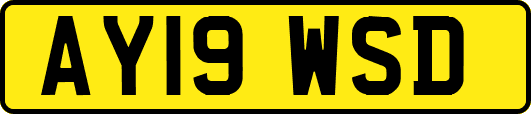 AY19WSD