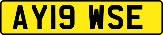 AY19WSE