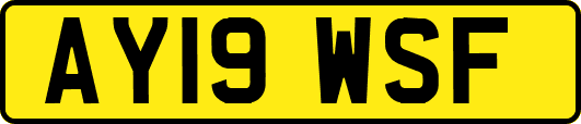 AY19WSF