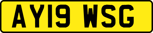 AY19WSG