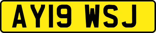 AY19WSJ