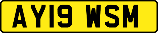 AY19WSM