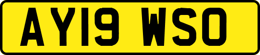 AY19WSO