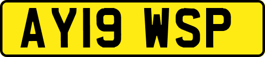 AY19WSP