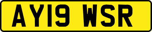 AY19WSR