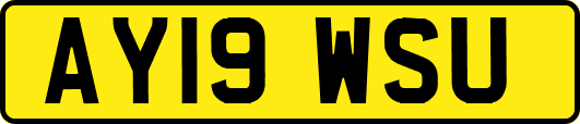AY19WSU