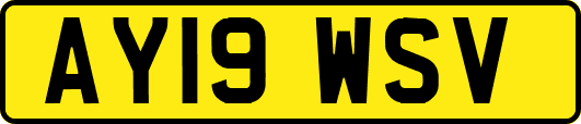 AY19WSV