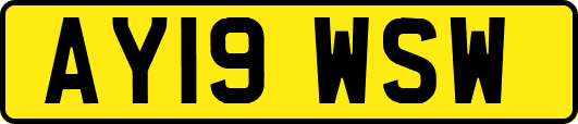 AY19WSW