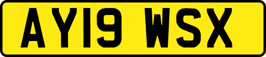 AY19WSX
