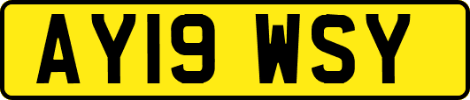 AY19WSY