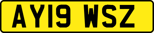 AY19WSZ