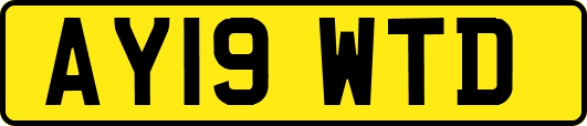 AY19WTD
