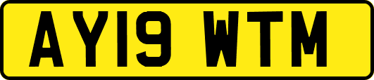 AY19WTM