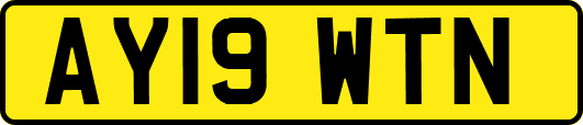 AY19WTN