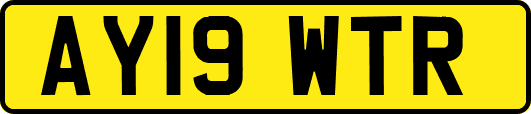AY19WTR