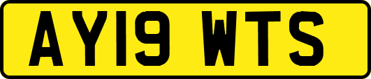AY19WTS
