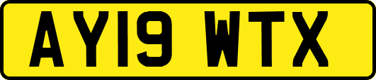 AY19WTX