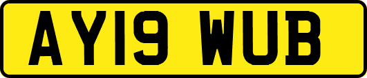 AY19WUB