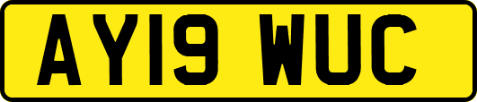 AY19WUC