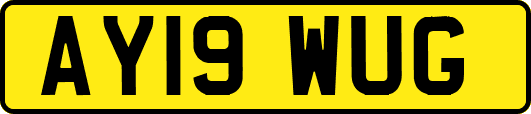 AY19WUG