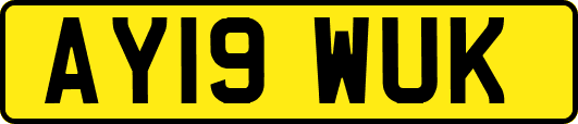 AY19WUK