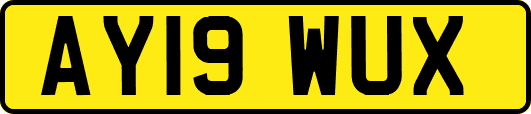 AY19WUX