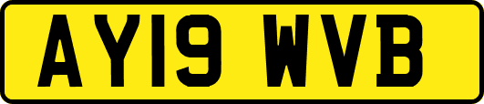 AY19WVB