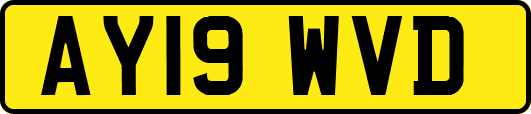 AY19WVD