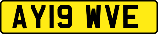 AY19WVE