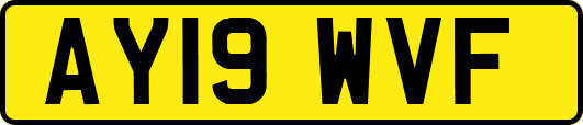 AY19WVF