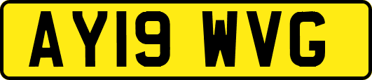 AY19WVG