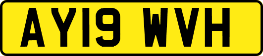 AY19WVH