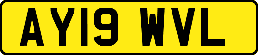 AY19WVL